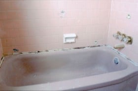 Standard bathtub refinishing job, no exceptional damage, just plain ugly.
