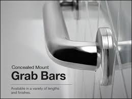 Bathroom Grab Bars Maryland Washington DC & Northern Virginia