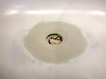 Bathtub Drain Overflow Rust Hole Repair