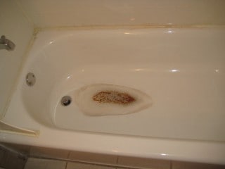 Bathtub holding water damage & rusted.