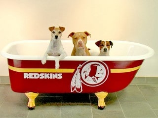 Bath Remodel porcelain tub refinishing clawfoot tub done in Redskins colors.