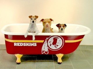 Redskins clawfoot tub refinishing with our pups.